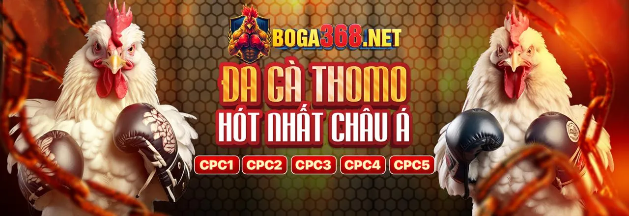 Khuyến mãi 88vip 2026 chào mừng thành viên mới